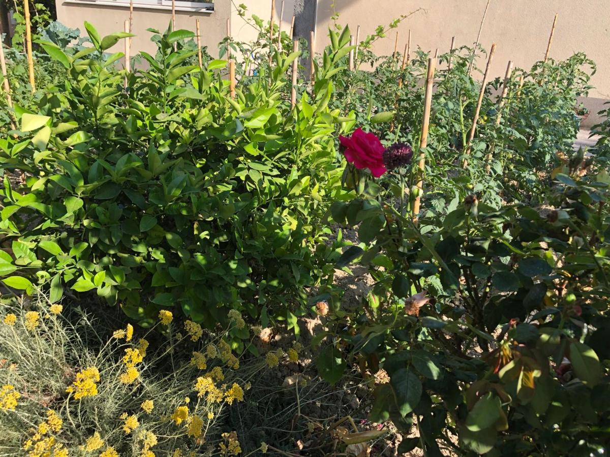 Apartmán Garden