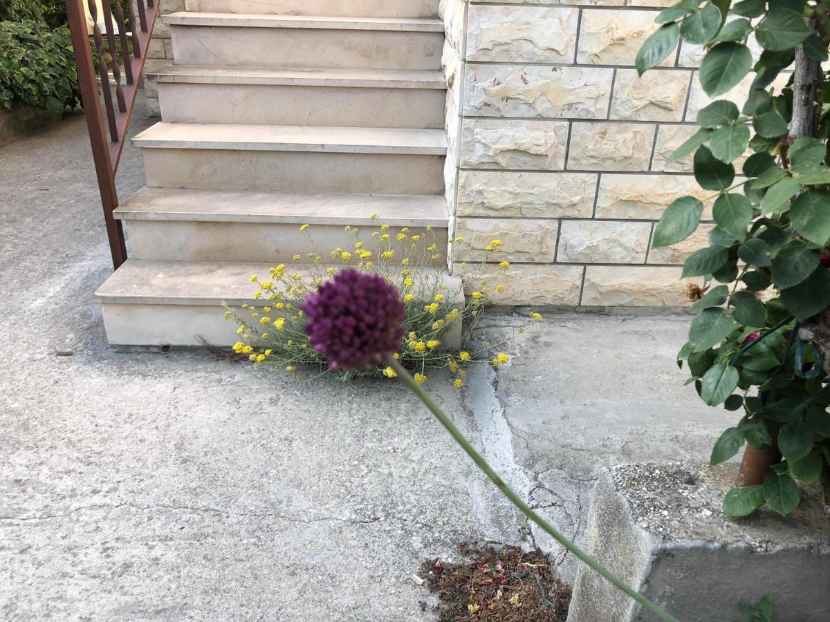 Apartmán Garden